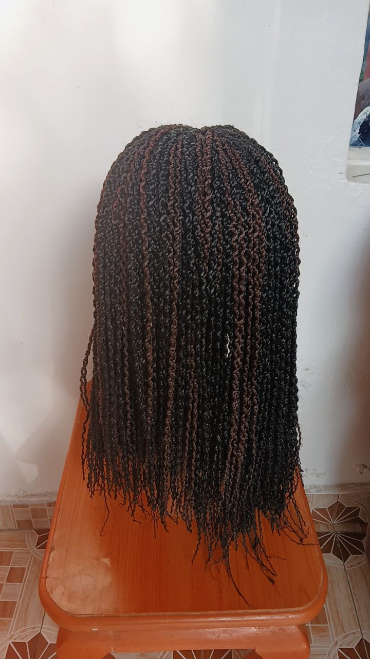 Long Curly Braided Wig