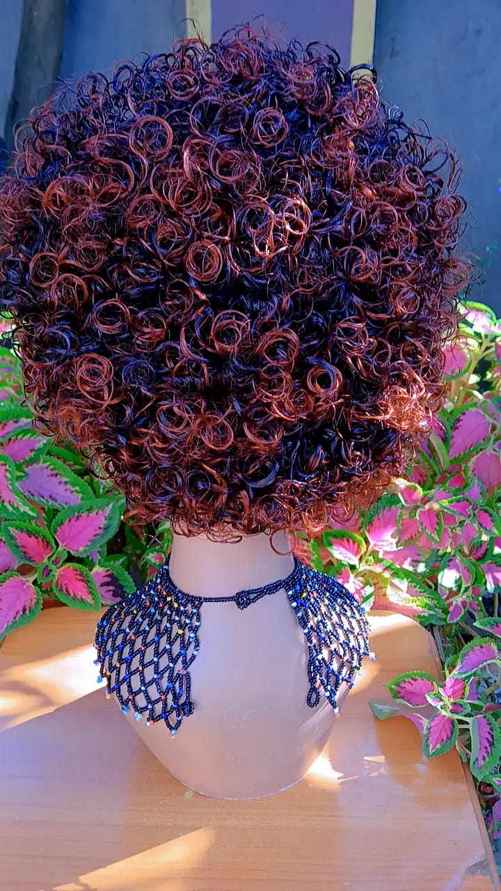Curly Braided Wig — Beaded Crown