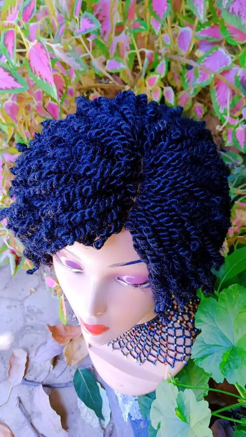 Afro Twist Wig