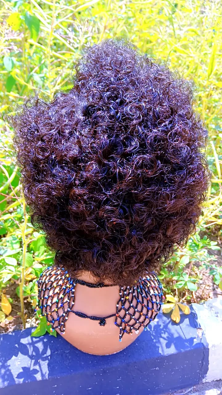 Short Curly Afro Wig