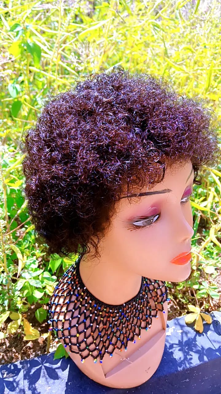 Short Curly Afro Wig