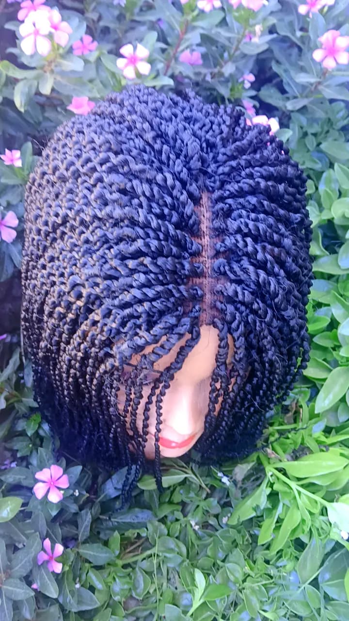 Long Curly Braided Wig