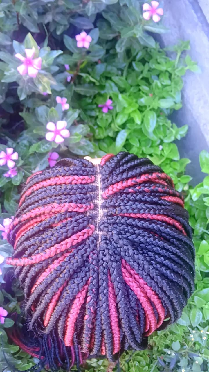 Wildberry Box Braided Wig