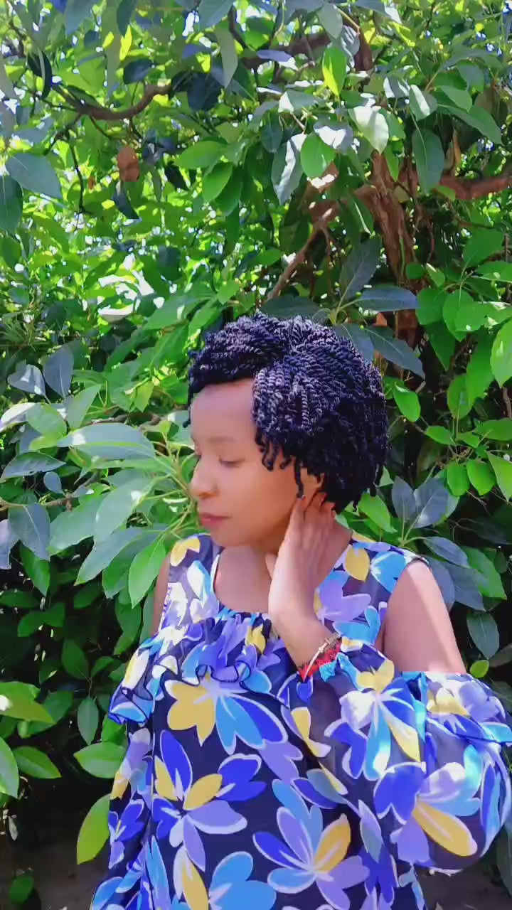 Afro Twist Wig